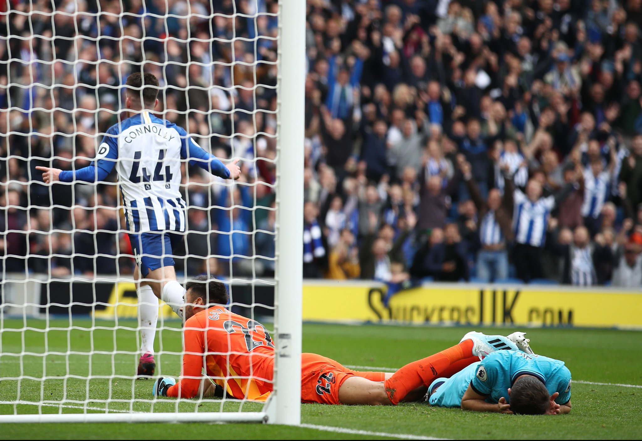 尽管年轻球 尽管年轻球